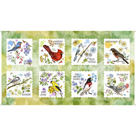 DRAWN TO BIRDS           